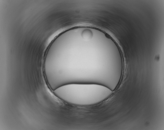 X0000111781245200907230941
