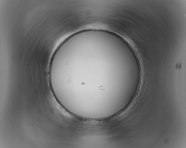 X0000111781248200907230942
