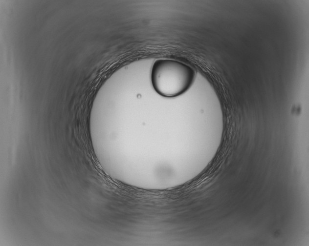 X0000111781249200907230941