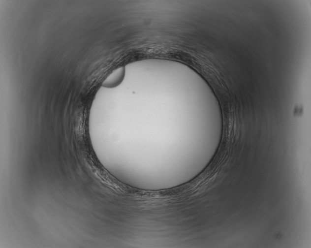 X0000111781250200907230941