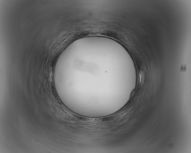 X0000111781251200907230941