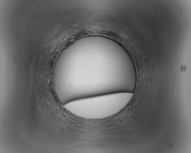 X0000111781253200907230941