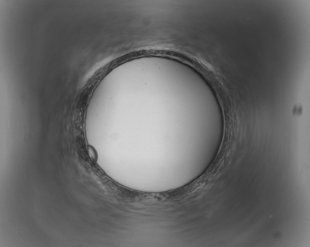 X0000111781255200907230941