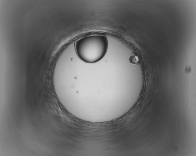 X0000111781256200907230941