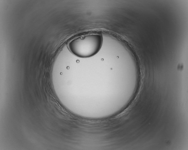 X0000111781257200907230941