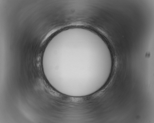 X0000111781258200907230941