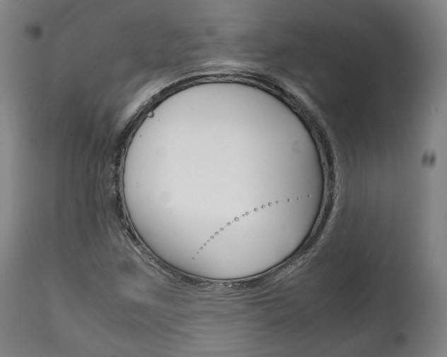 X0000111781259200907230941
