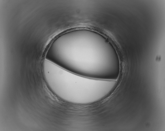 X0000111781260200907230941