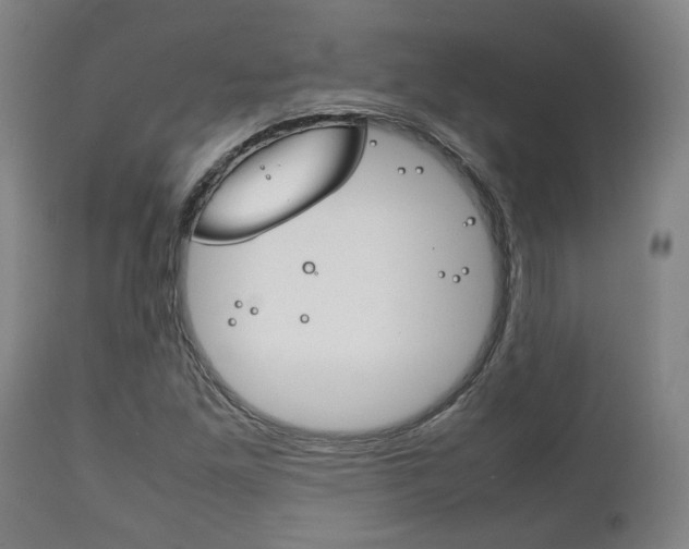 X0000111781261200907230941