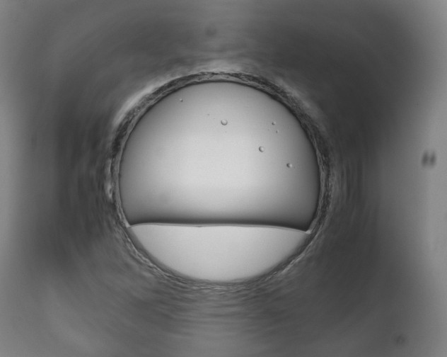 X0000111781262200907230941