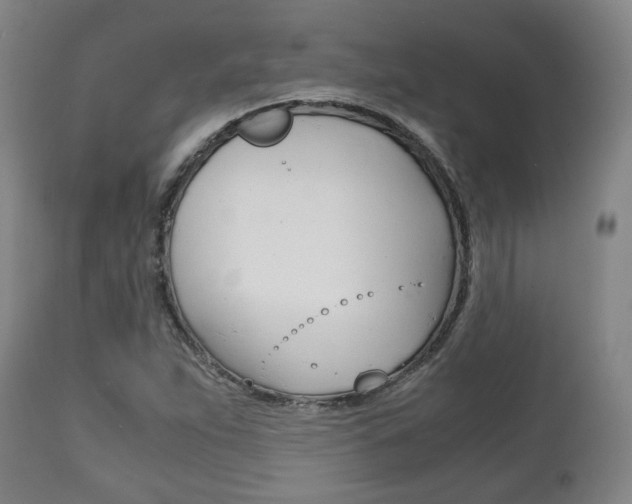 X0000111781263200907230941