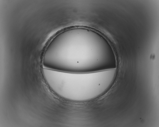 X0000111781264200907230941