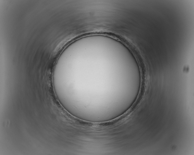X0000111781265200907230941
