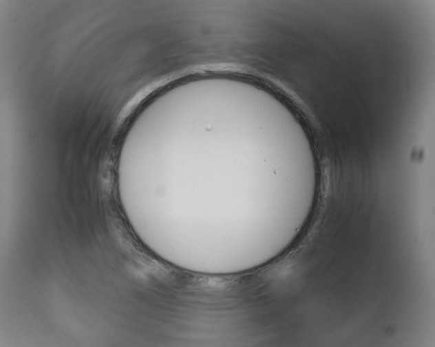 X0000111781266200907230941