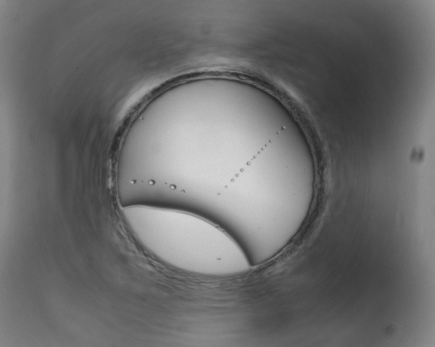 X0000111781267200907230941