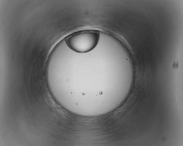 X0000111781268200907230941