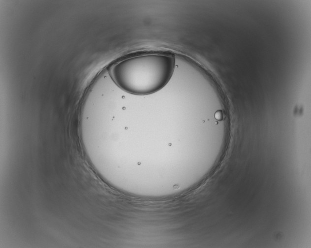 X0000111781269200907230941