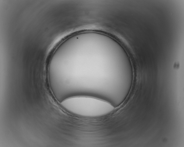 X0000111781270200907230941
