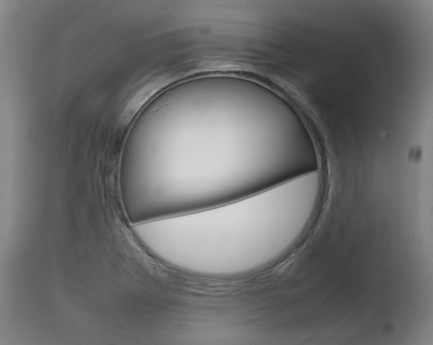 X0000111781273200907230941