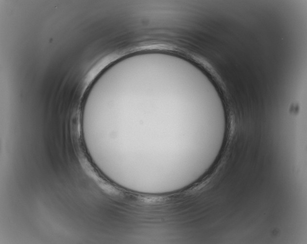 X0000111781274200907230941