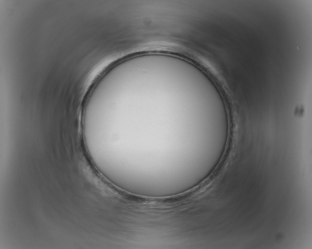 X0000111781275200907230941