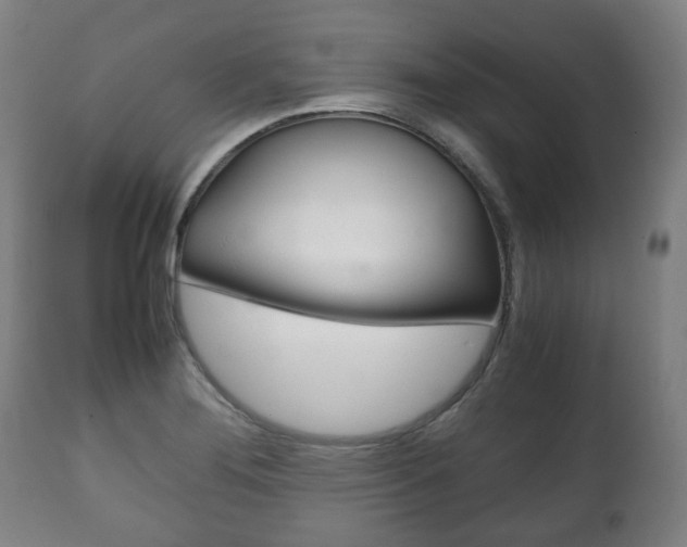 X0000111781276200907230941