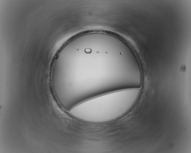 X0000111781279200907230940