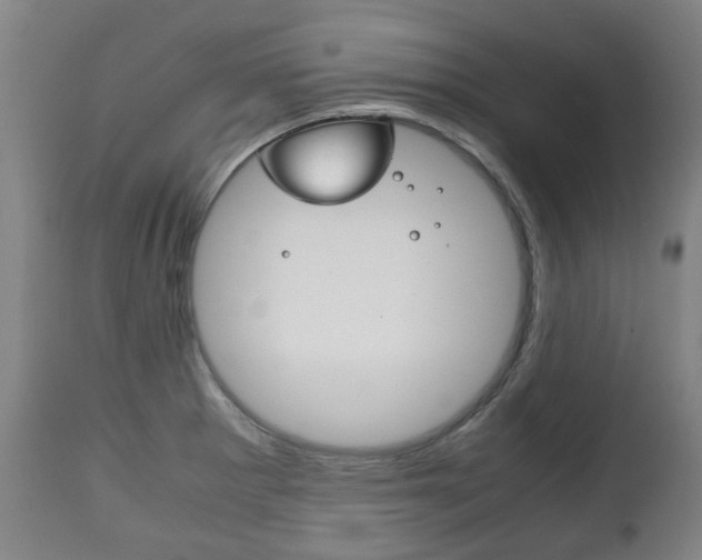 X0000111781281200907230940