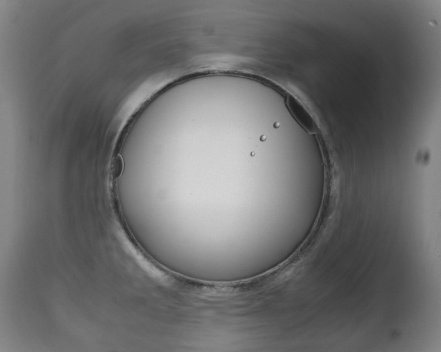 X0000111781285200907230940