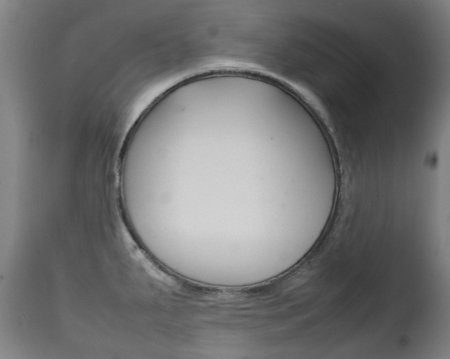 X0000111781287200907230940