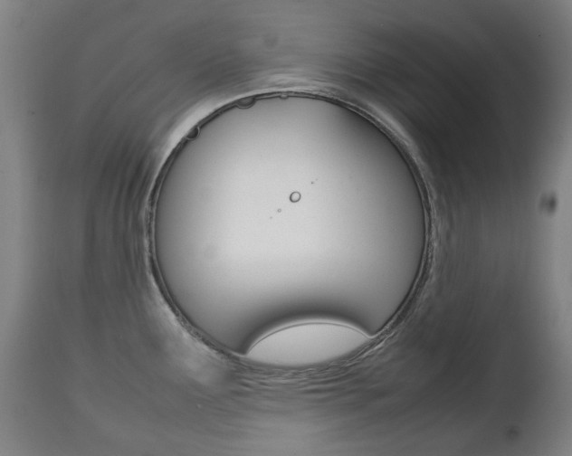 X0000111781291200907230940