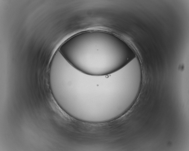 X0000111781292200907230940