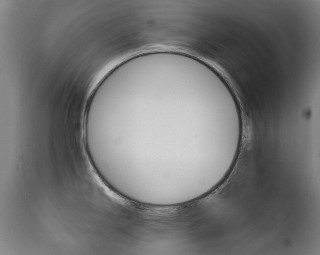 X0000111781294200907230940