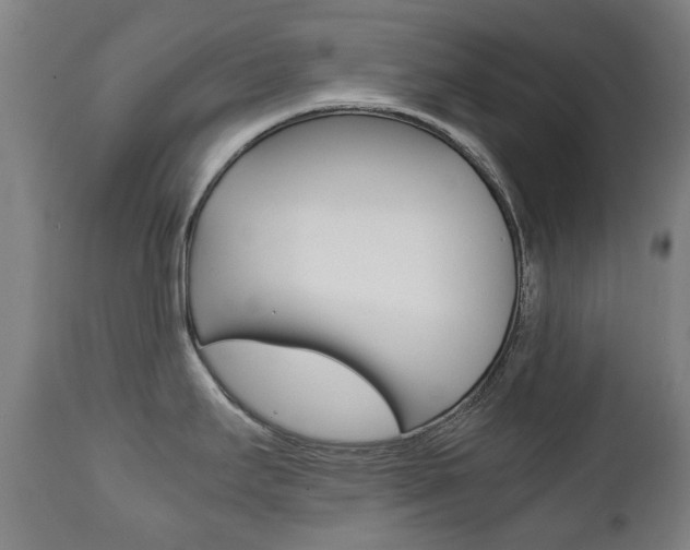 X0000111781295200907230940