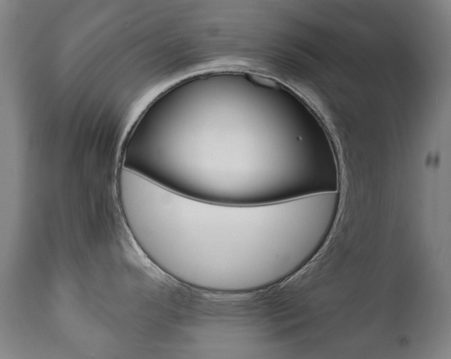 X0000111781296200907230940
