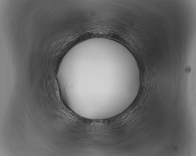 X0000111781297200907230940