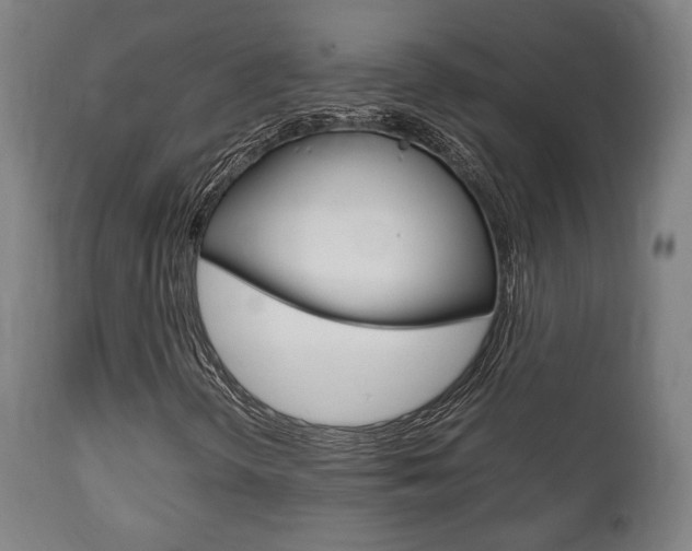 X0000111781298200907230940