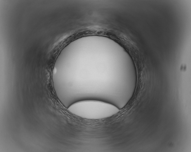 X0000111781302200907230940
