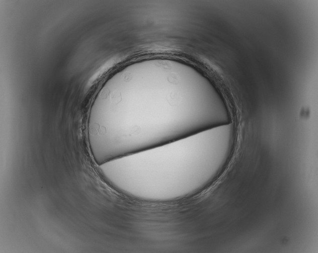 X0000111781306200907230940