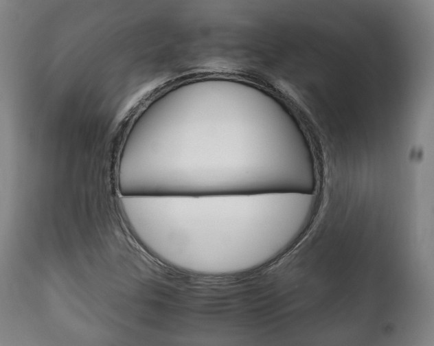 X0000111781307200907230940