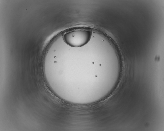 X0000111781310200907230940