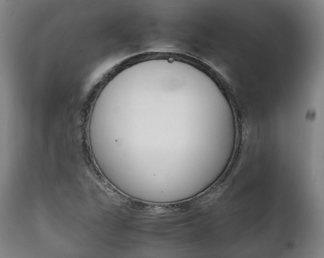 X0000111781311200907230940