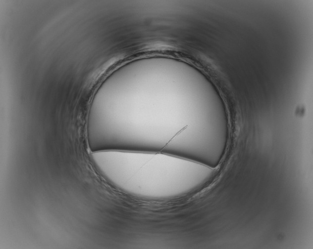 X0000111781313200907230940