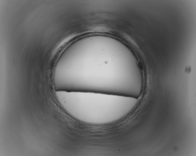 X0000111781315200907230940