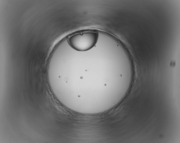 X0000111781316200907230940