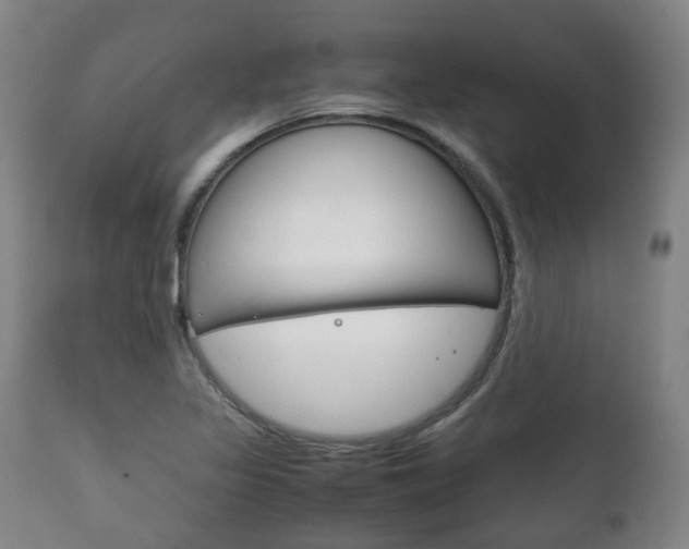 X0000111781317200907230940