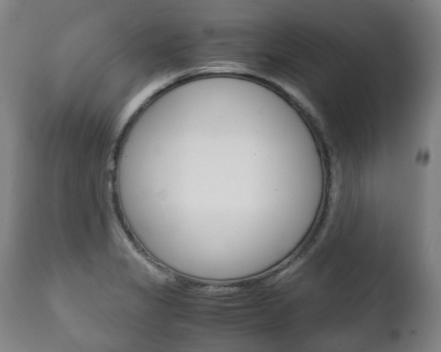 X0000111781325200907230940