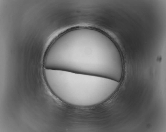 X0000111781327200907230940