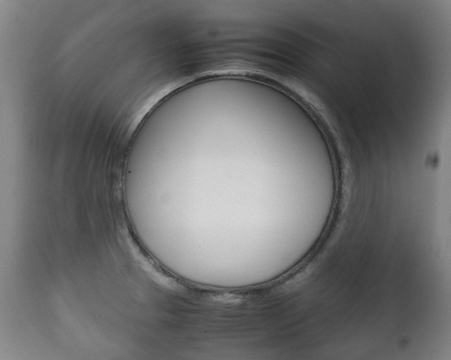 X0000111781329200907230940