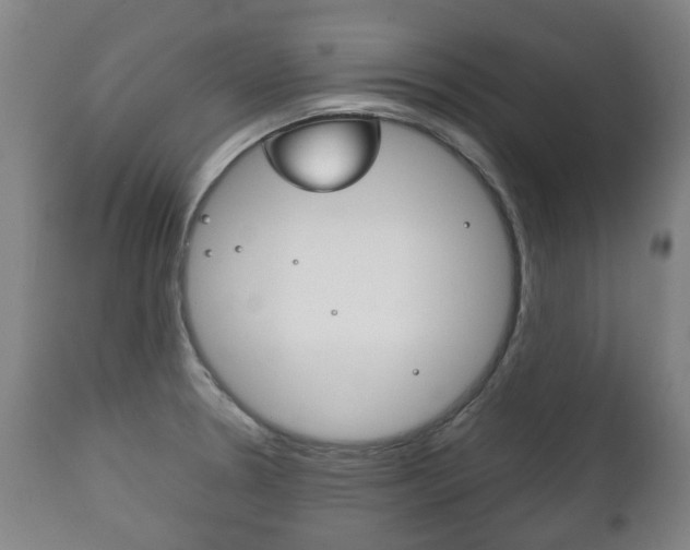 X0000111781330200907230940